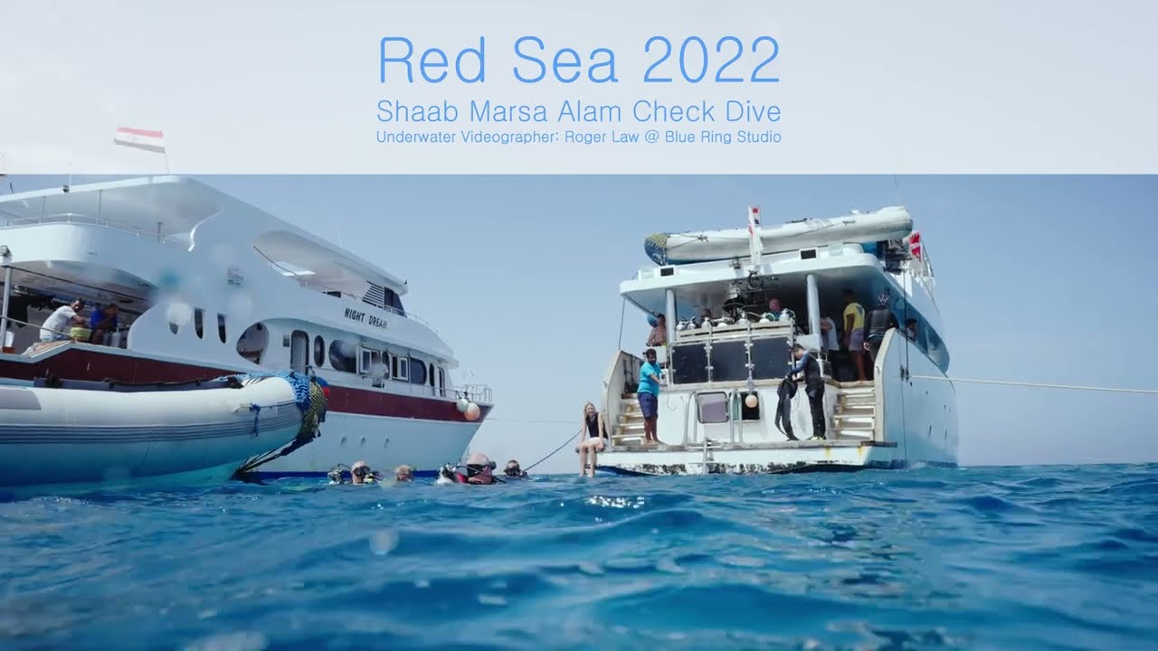 Red Sea 2022《Shaab Marsa Alam Check Dive》