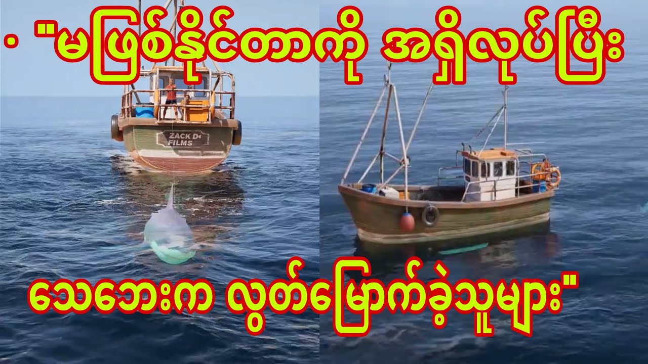 ငါးမန်းကိုအင်ဂျင်လုပ်ပြီးပင်လယ်ဖြတ်ကျော်ခြင်း