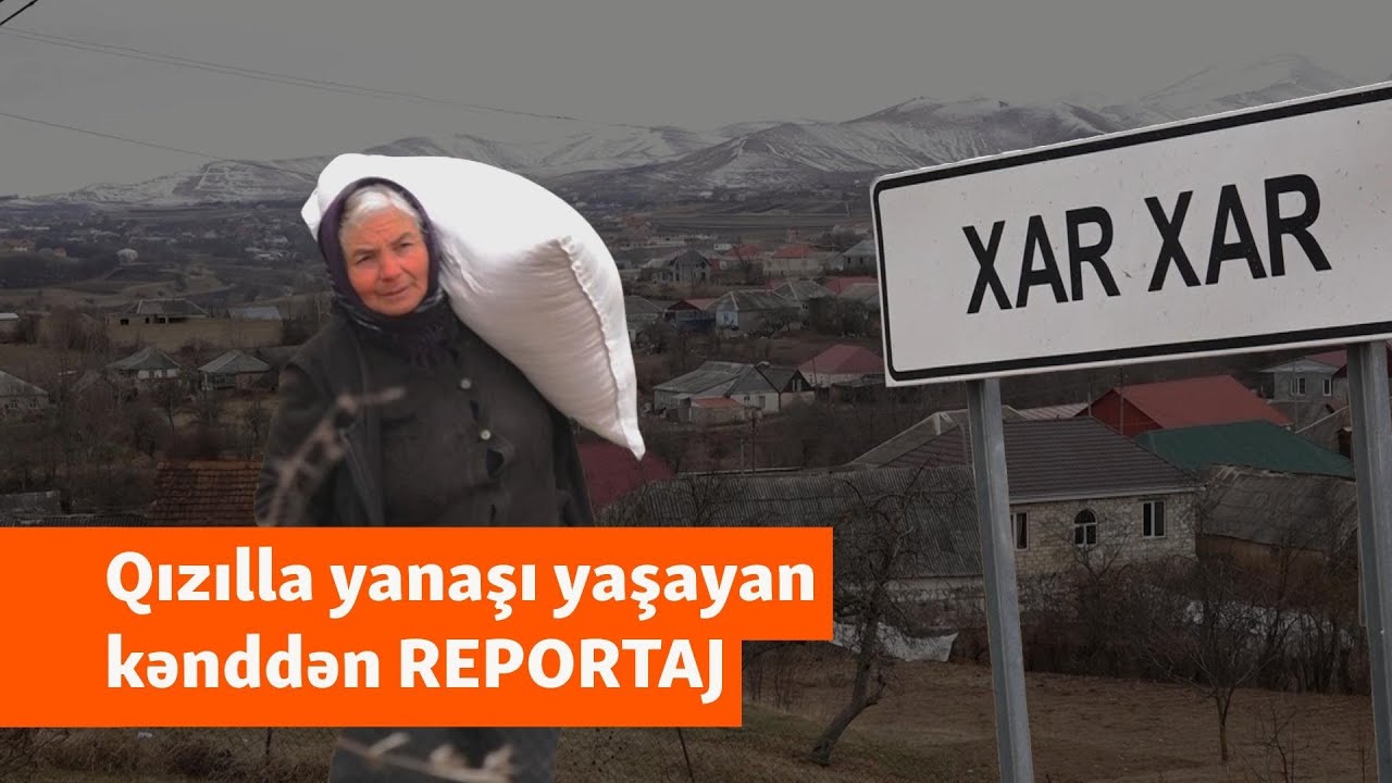 Qızıl yatağının qonşuları: 