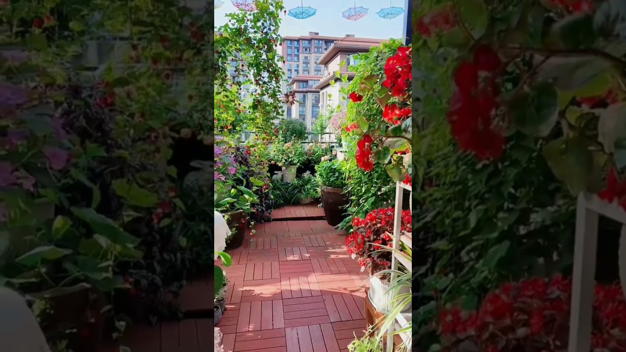 Outdoor Decor Hacks On a Budget 💡#gardening #oasis #plants #homedecorideas #asmr #gardenplants #diy