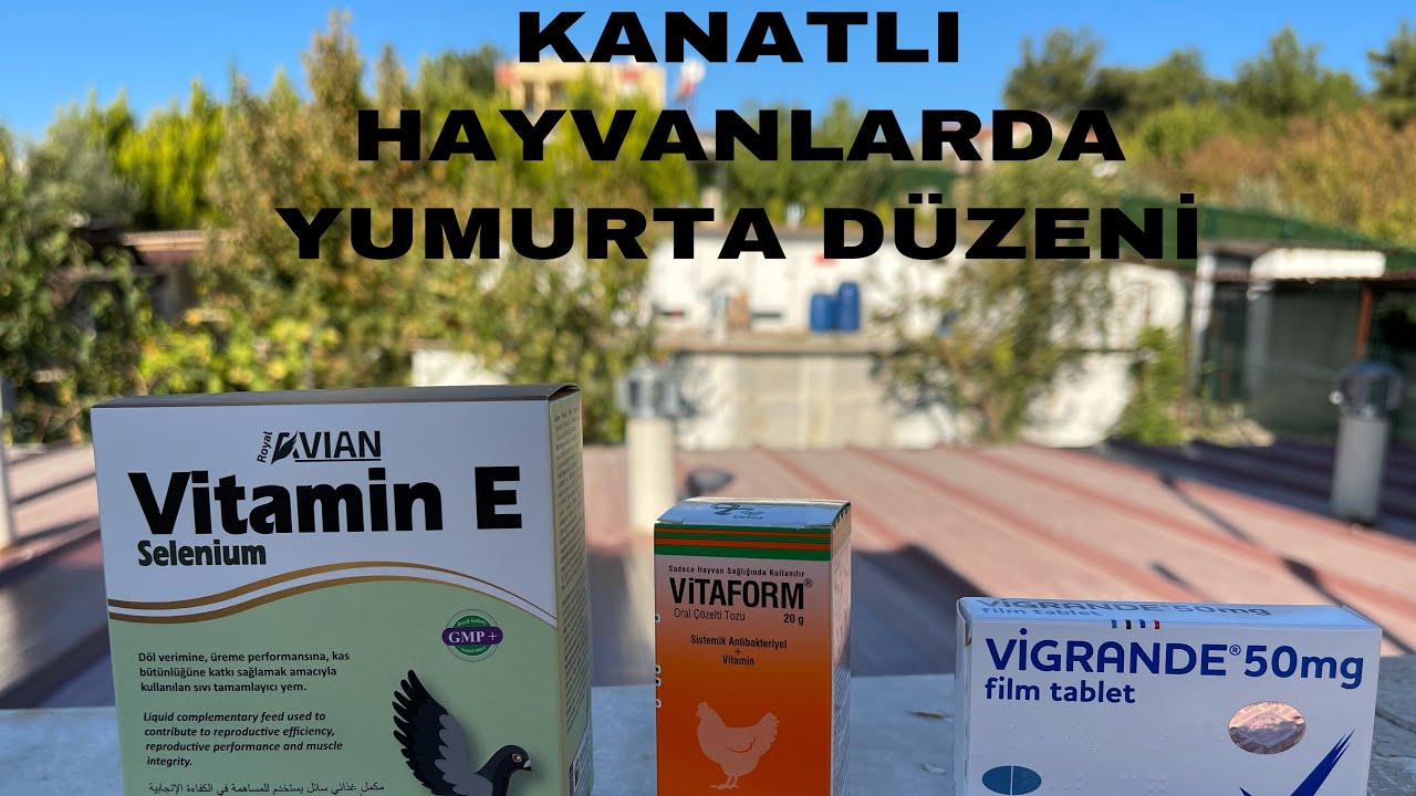 Yumurtlamayan Güvercine  Takviye- 3 BİRDEN TAKVİYE