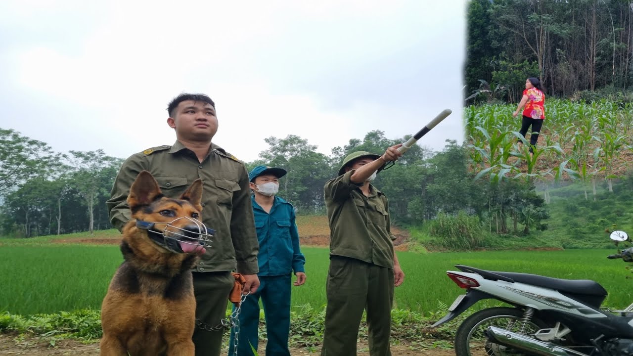 Full Video: Use a sniffer dog to find the whereabouts of your cruel mother-in-law