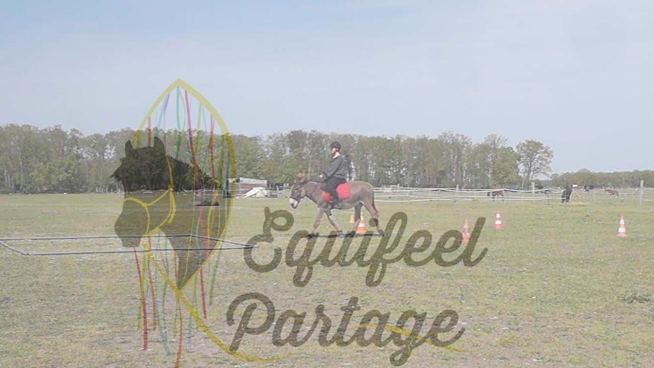 TOURNOI EQUIFEEL-PARTAGE 2021 | avril : le cercle