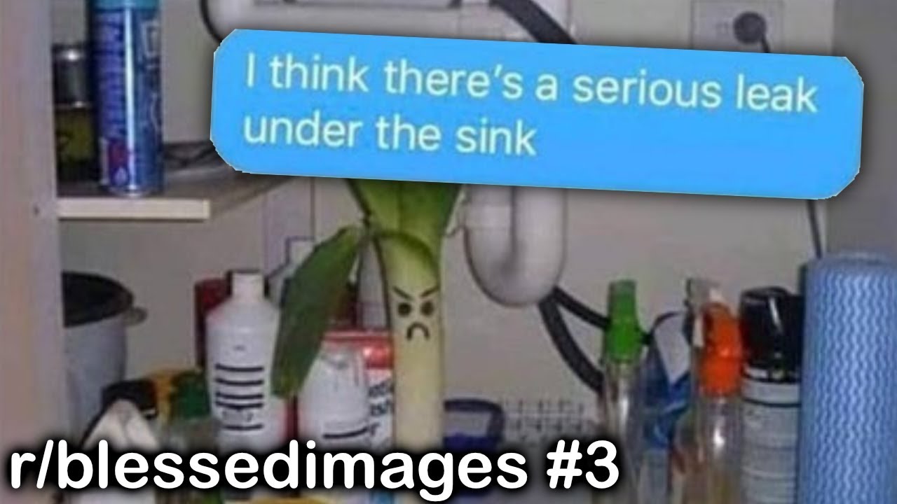 r/blessedimages Best Posts #3