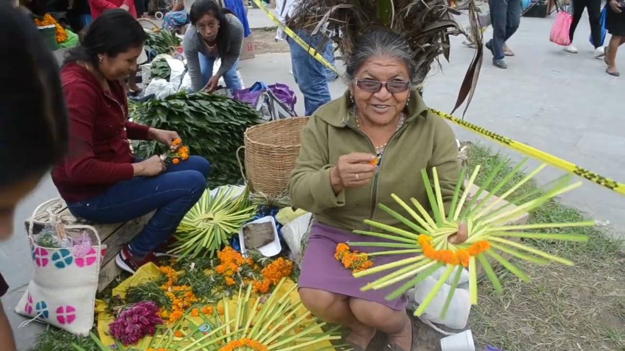 RUTA IXHUATLÁN DE MADERO VERACRUZ. 🏵️ PLAZA DE FLORES 2022.