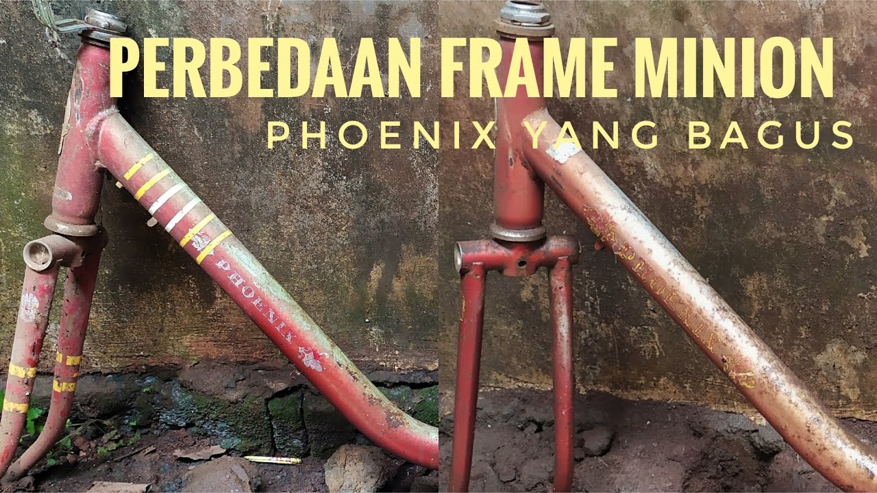 Memilih Frame Minion Phoenix Yang Bagus
