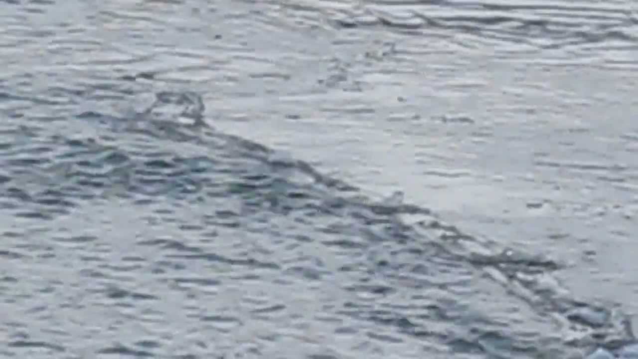 Lake monster seen in Iceland Original HQ uncut version