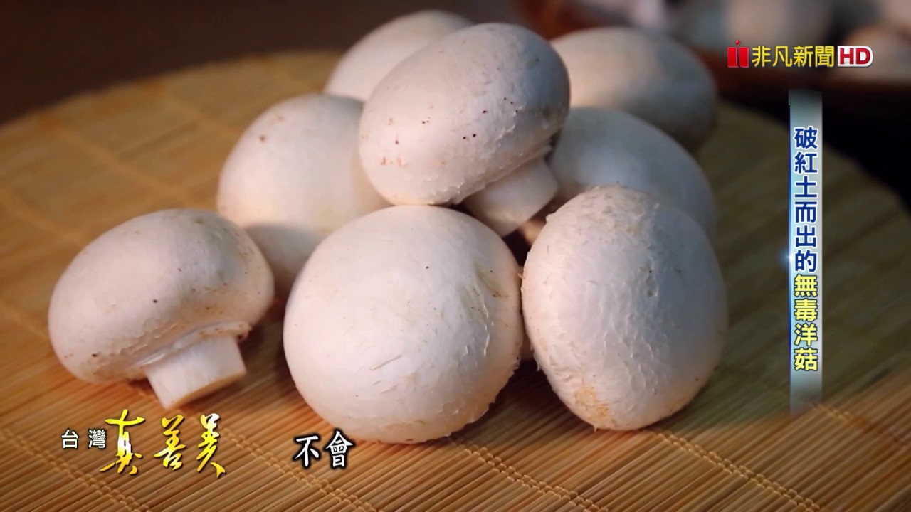 2018.1.14【台灣真善美】破紅土而出的