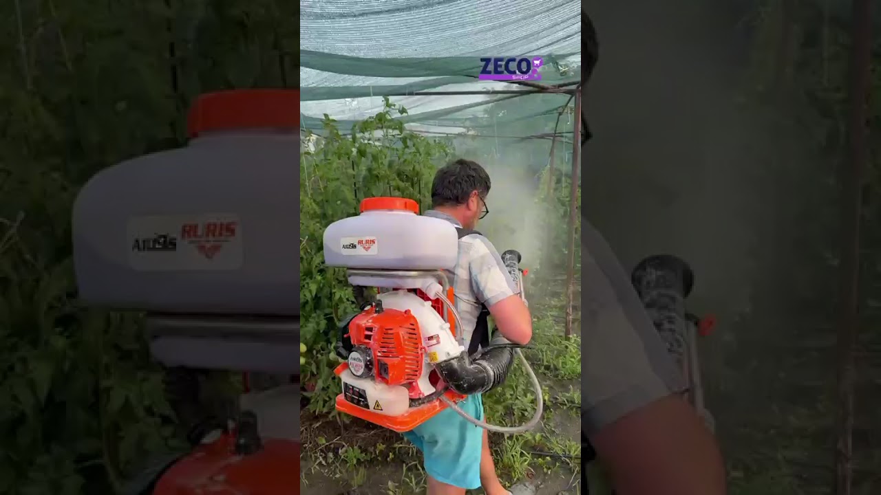 Cum să folosim Zeolitul Foliar în grădină