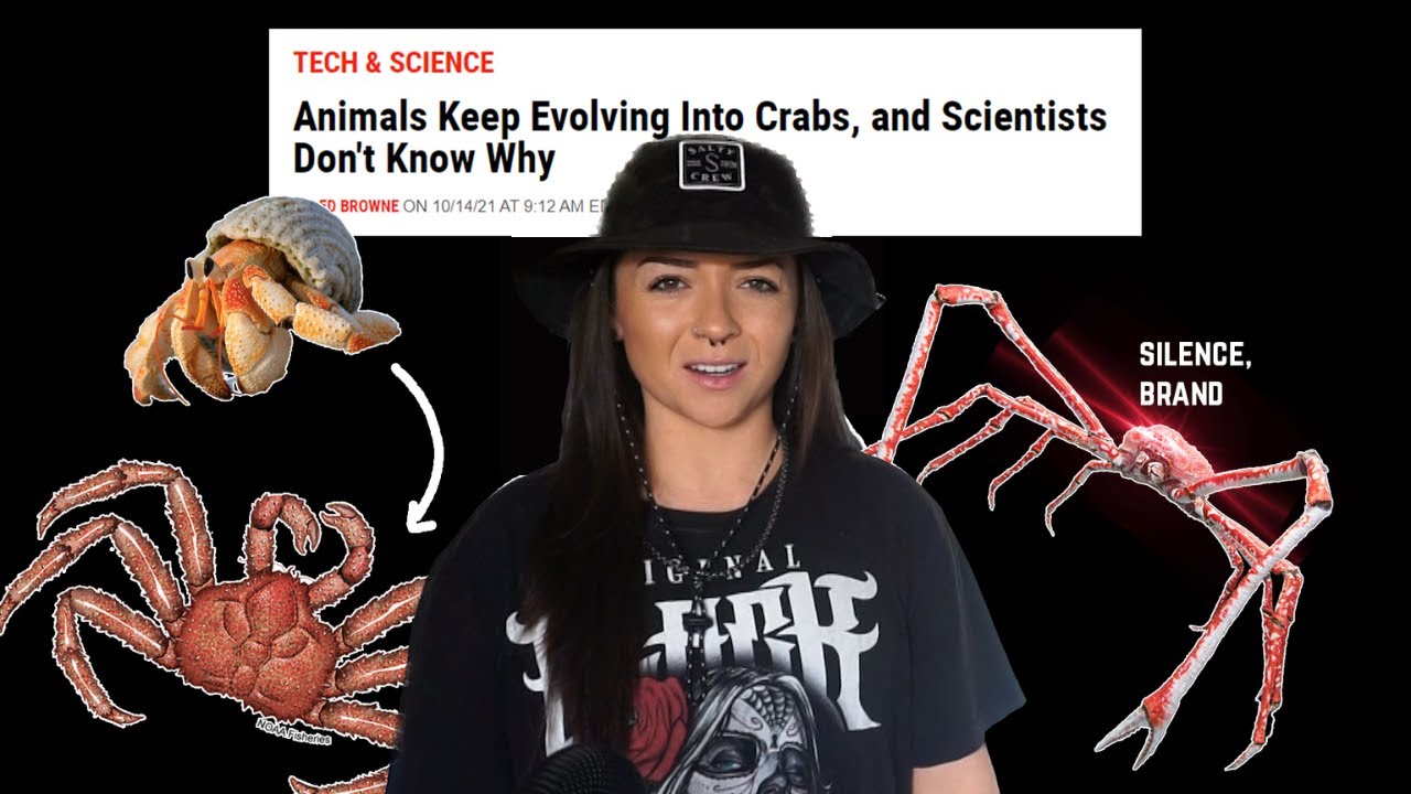Is CRAB the final form? | Lindsay Nikole