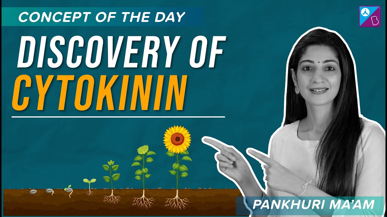 NEET 2023 - Discovery of Cytokinin Concept Explained