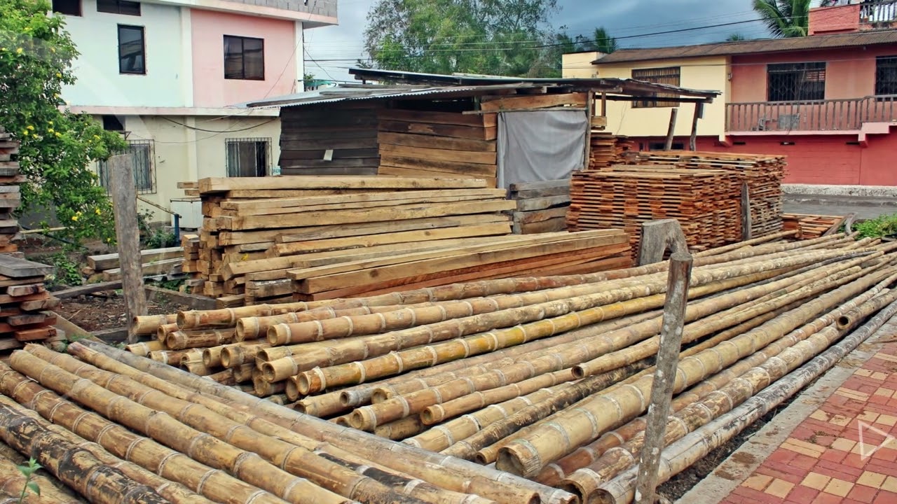 C&oacute;mo construir con bamb&uacute;: 4 sistemas estructurales b&aacute;sicos