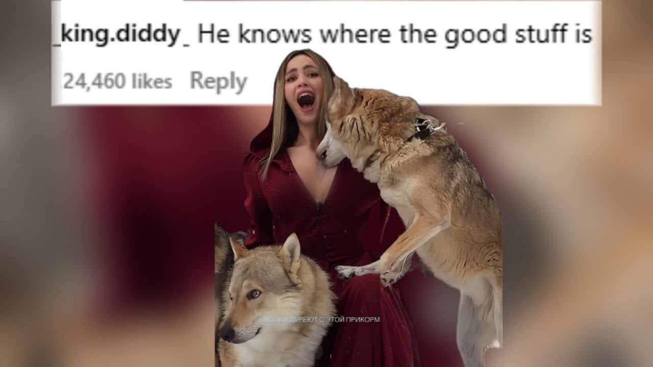He knows where the good stuff is