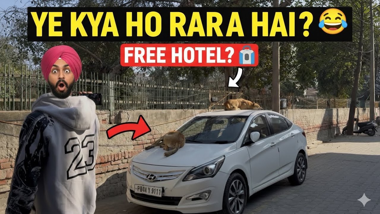 Yeh Kya Ho Raha Hai 😂  Free Hotel?😮 