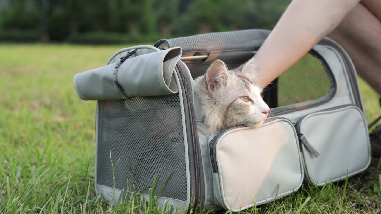 FUKUMARU PET CARRIER - Portable Pet Bag