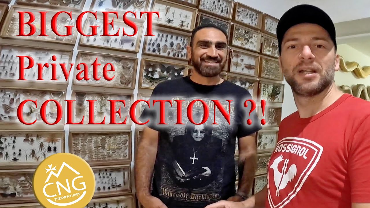 Richest Natural History Collection in Malta ⁉️ Part 2 ... Arnold Sciberras - CNG Trekventures