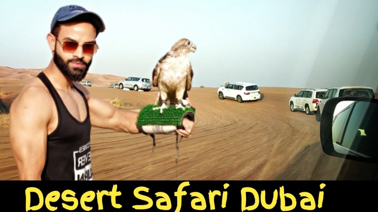 Desert Safari Adventure in || UAE Dubai