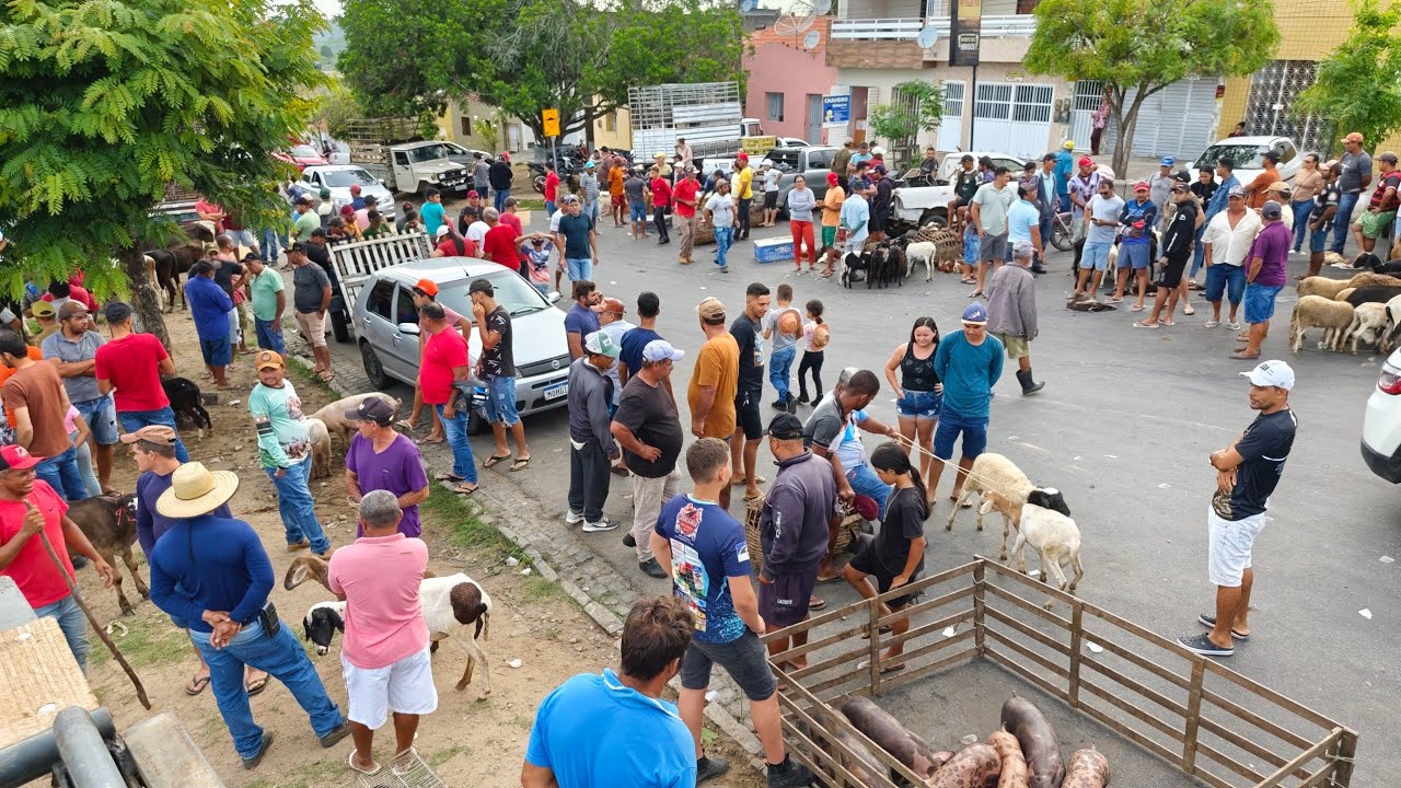 Feira De Animais, Umbuzeiro, Paraíba, 21 de fevereiro de 2026