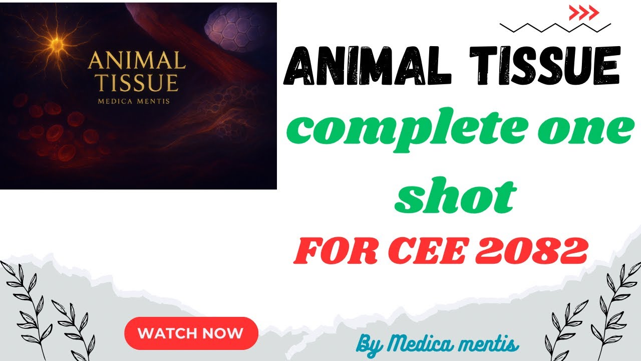 Animal tissue complete one shot lecture 🧬 | Complete Zoology for CEE Nepal | Medica Mentis