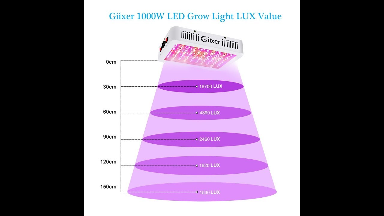 Review Best 2019: Giixer 1000W LED Grow Light, (10W LEDs 100Pcs)