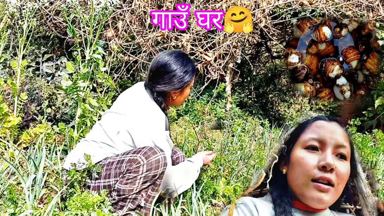 आज हाम्रो दिन यसरी बित्यो बडो संघ ले 🤗🤩