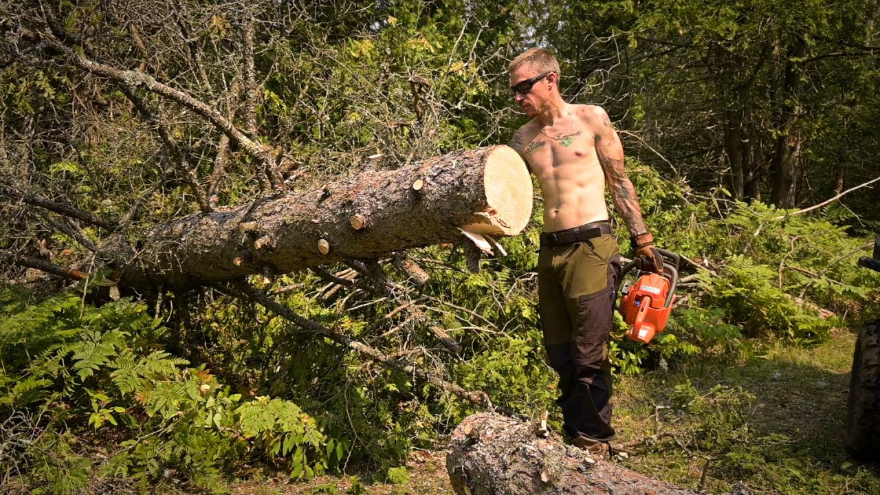 Building a Creekside Camp Ep 1 - Clearing Post Tornado Blown Down on the Trail In.