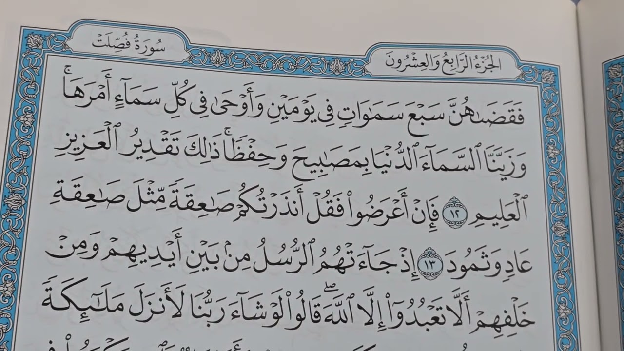 ما تيسر من سورة فصلت