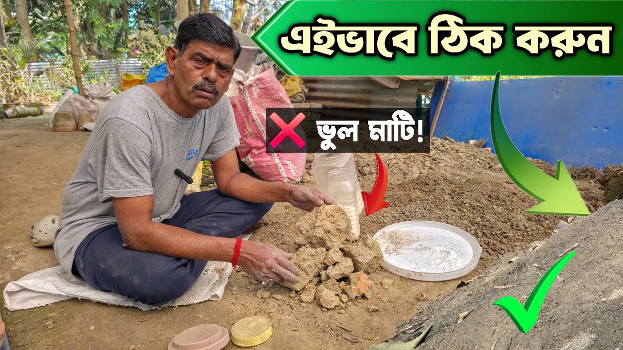 সাধারণ কেনা মাটিকে কিভাবে গাছের জন্য উপযুক্ত করবেন