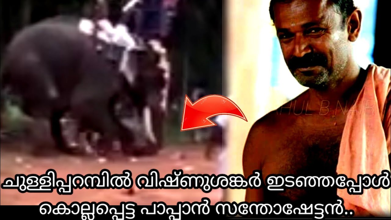 ചുള്ളിപ്പറമ്പിൽ വിഷ്ണുശങ്കർ ഇടഞ്ഞപ്പോൾ കൊല്ലപ്പെട്ട പാപ്പാൻ | Chulliparambil vishnu shankar |