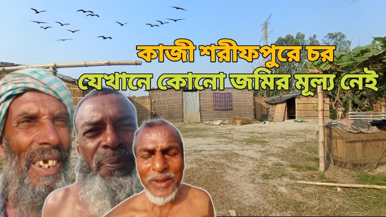 কাজী শরীফপুরের চর! যেখানে কোনো জমির মূল্য নেই! village life in Bangladesh!