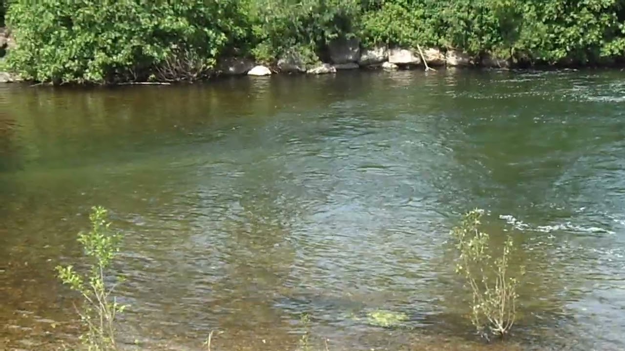 VILLEMAGNE : L' Etang de LA MARE 2