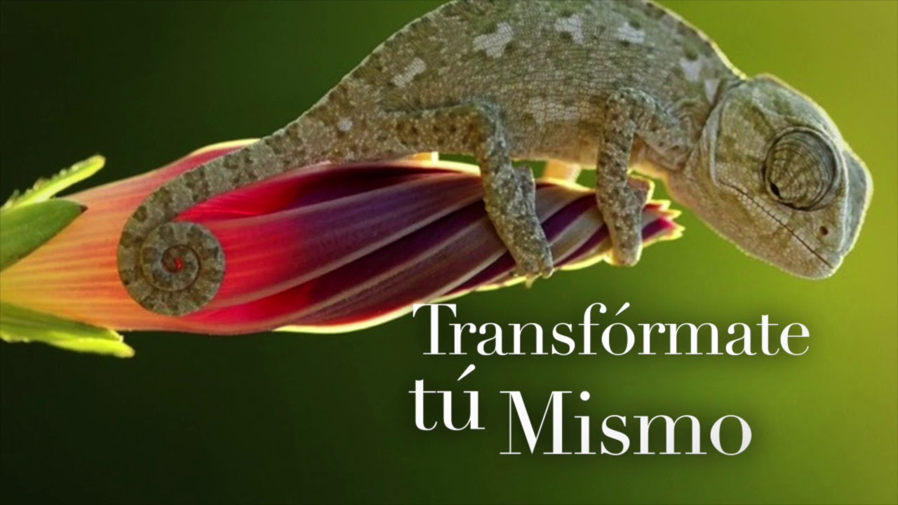 Transfórmate tu mismo