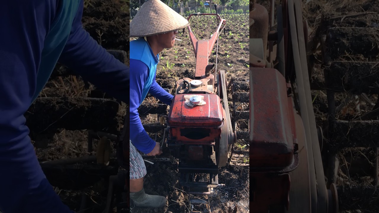 Traktor Mesin Dongfeng #short