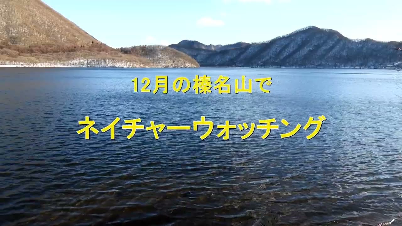12月の榛名山でネイチャーウォッチング