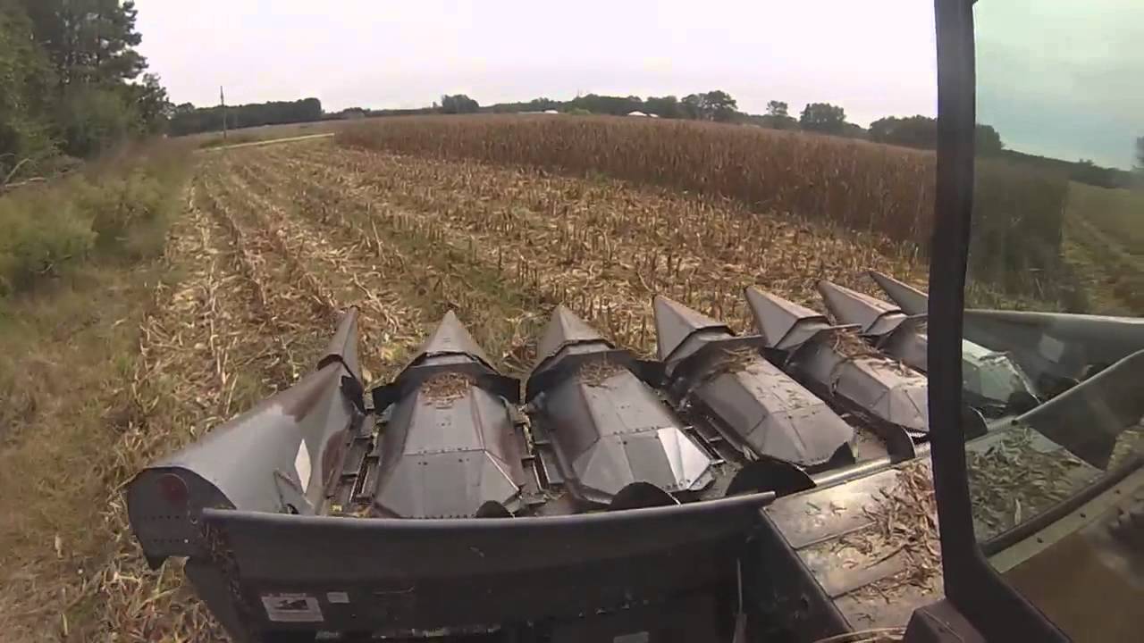2014 Corn Harvest with an Gleaner M3 at Mackilwean Farms
