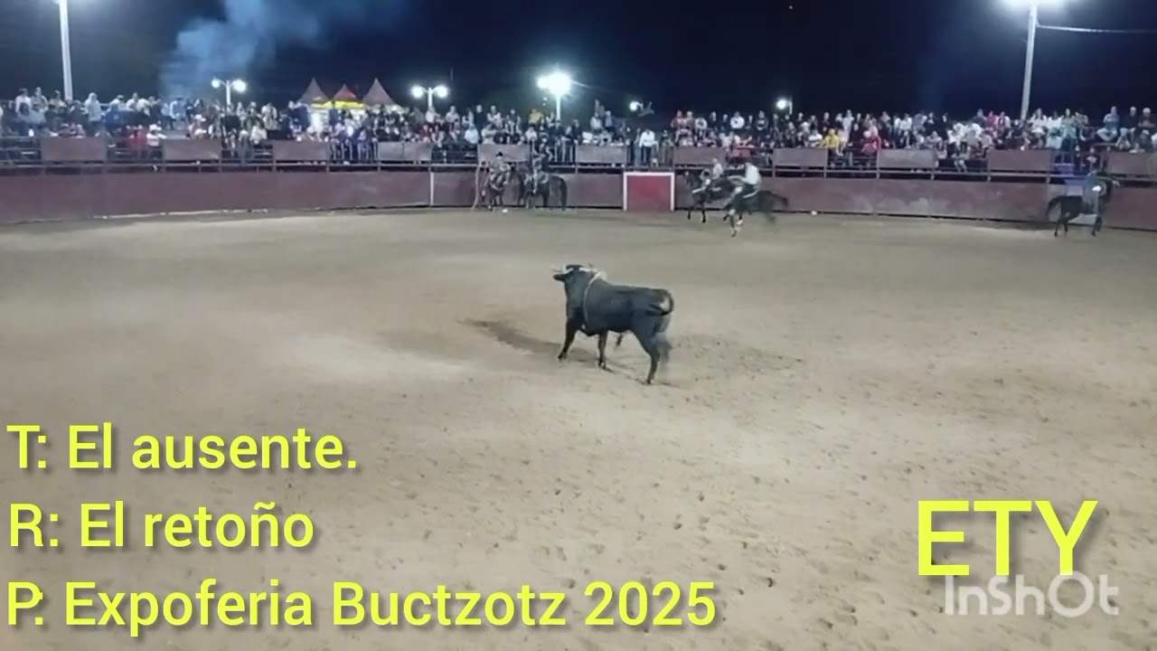 Toro El Ausente en la pasada Expoferia Buctzotz 2025.
