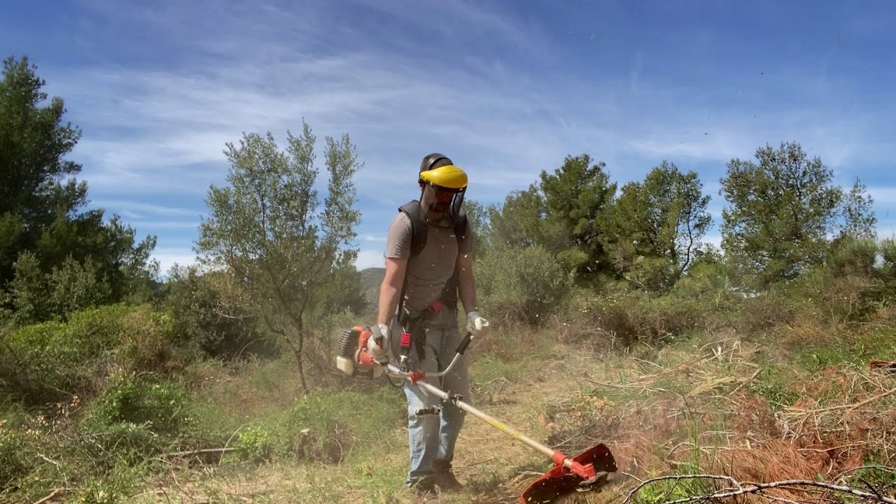 Desbrozando mi Terreno para dedicarlo a la Apicultura