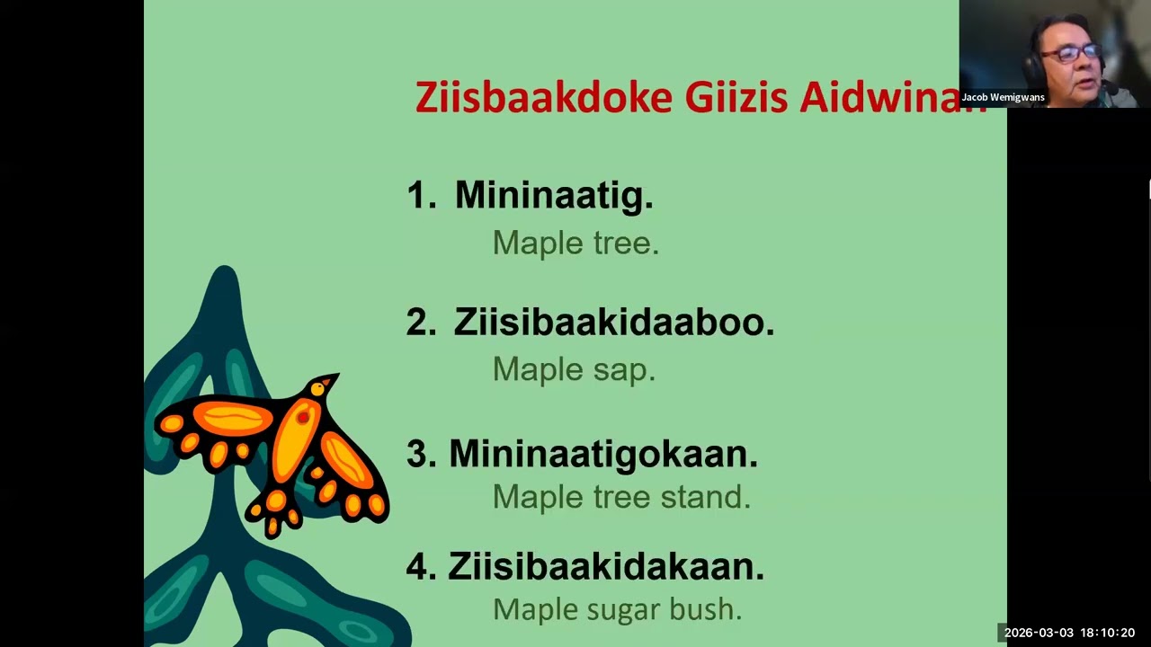 Giizisoo-Mzinigan Anishinaabemowin Series - March 3, 2026 with Jacob Wemigwans