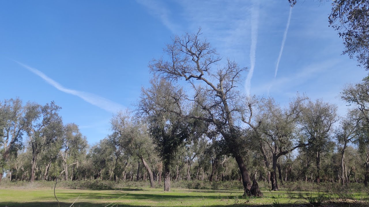 استمتع بسحر الطبيعة الخلاّب ، مناظر رائعة ، شاهد واستمتع.