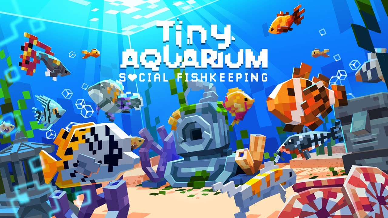 Idle Social Fishkeeping | Tiny Aquarium