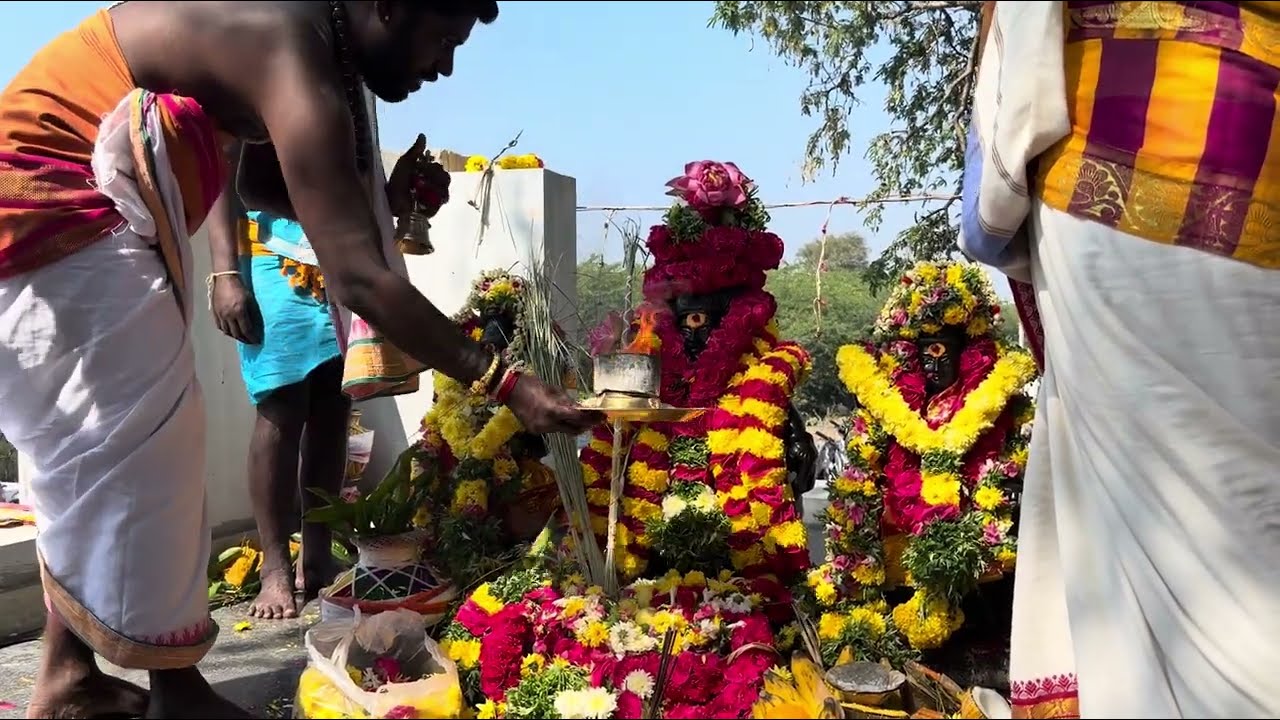 சத்திரம் புளியங்குளம் ஸ்ரீமாணிக்கவாசகர் &வெயிலுகந்தம்மன் கோயில் |சாமி ஊர்வலம்