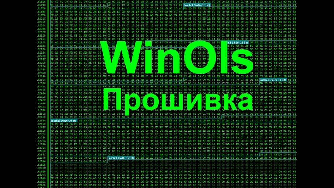 Все о Winols.  Первые шаги. Что такое прошивка ?