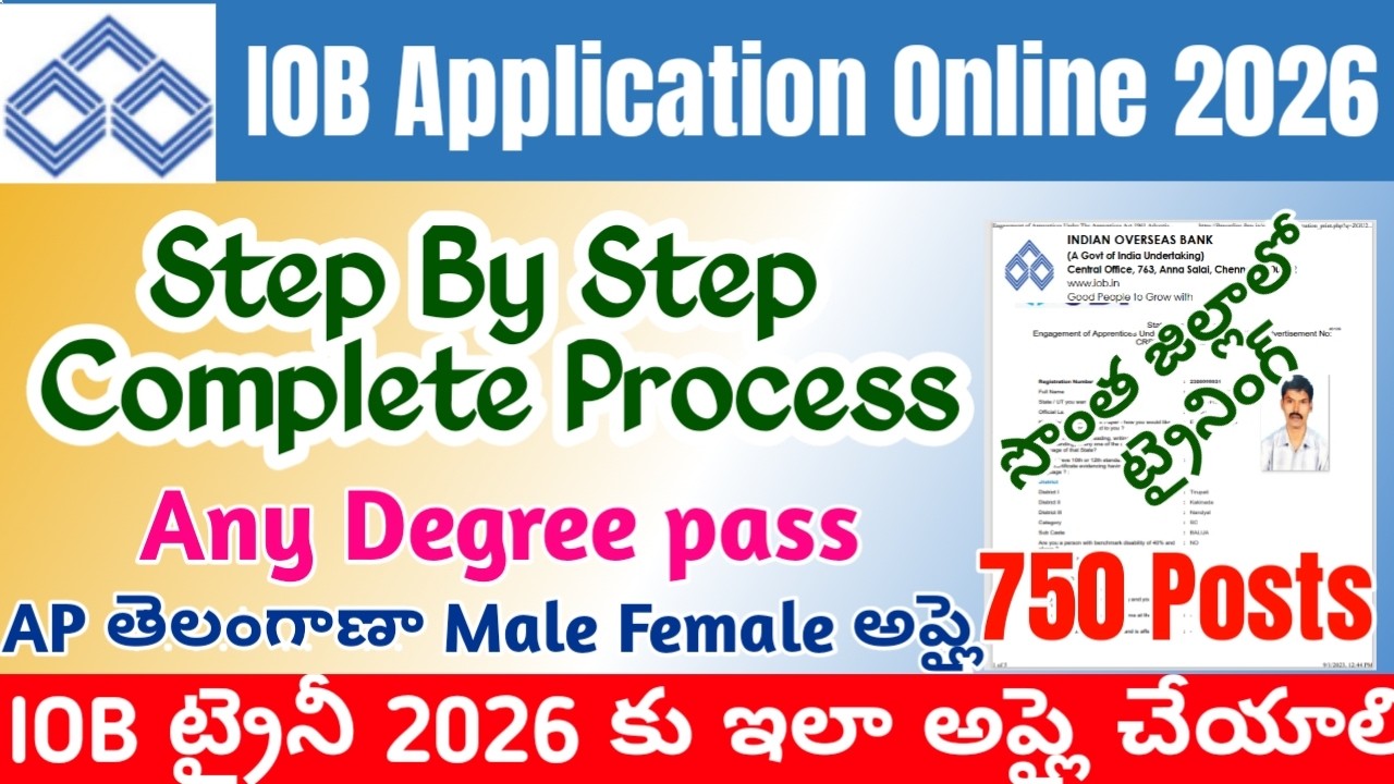 IOB Apprentice Application telugu|Indian Overseas Bank Apprentice how to fill Apply Online