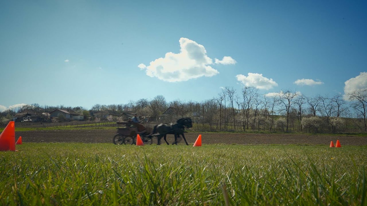 Kárpát-medence - Rákóczi lovasfarm, Érköbölkút 2022.05.22.