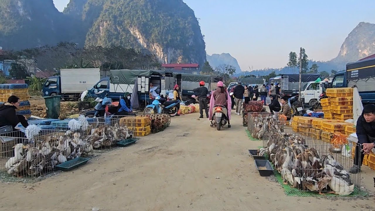 Vietnam’s Unique Morning Market – Real Local Life You’ve Never Seen Before I Unique Market TV