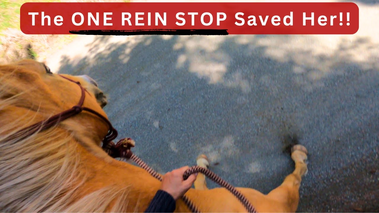 THE ONE REIN STOP SAVED HER ON A BOLTING HORSE!