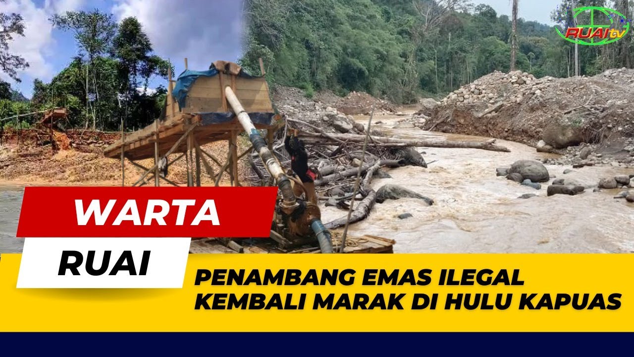 PENAMBANG EMAS ILEGAL KEMBALI MARAK DI HULU KAPUAS