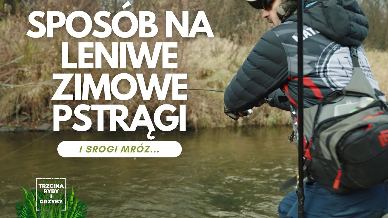 Sposób na zimowe, leniwe pstrągi!