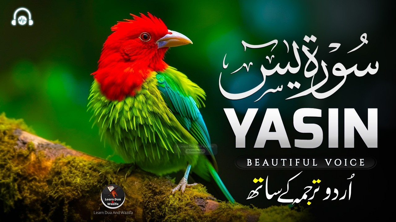 Surah Yasin (Yaseen) for Healing | Relieve Stress, Depression & Anxiety | سورة يس | #surahyaseen
