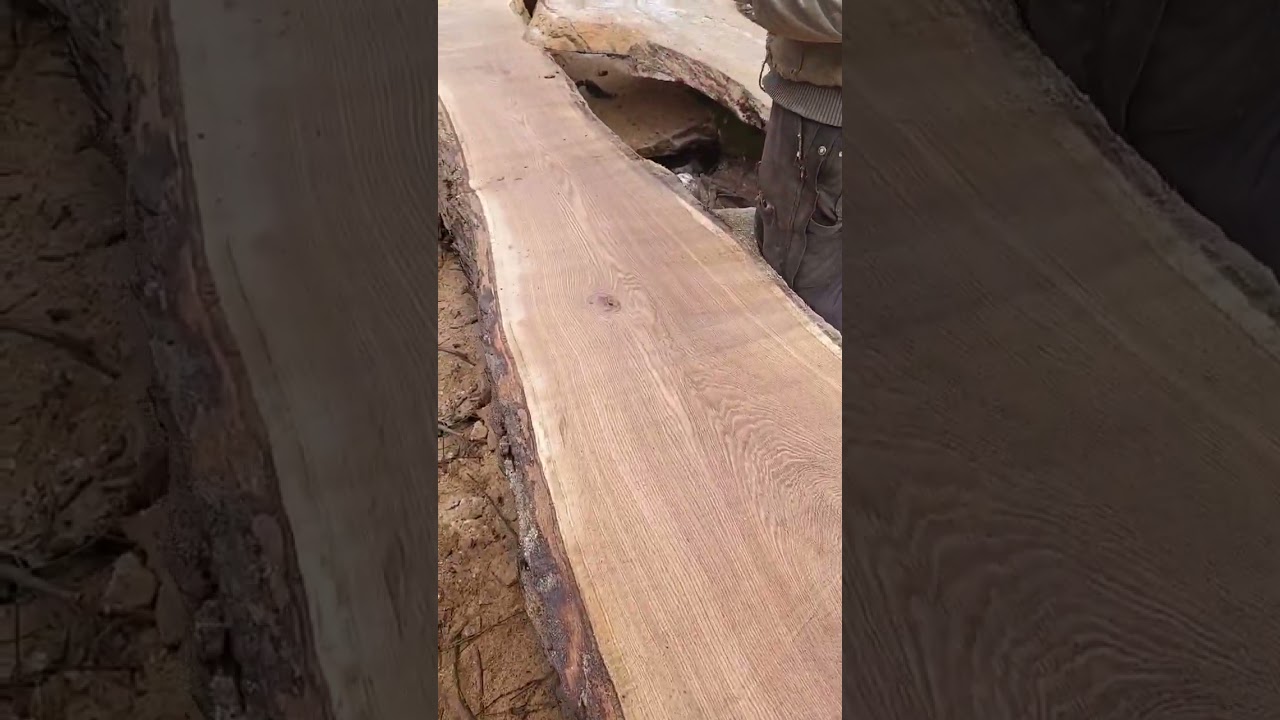 3' wide White Oak milling, using Alaskan Saw Mill